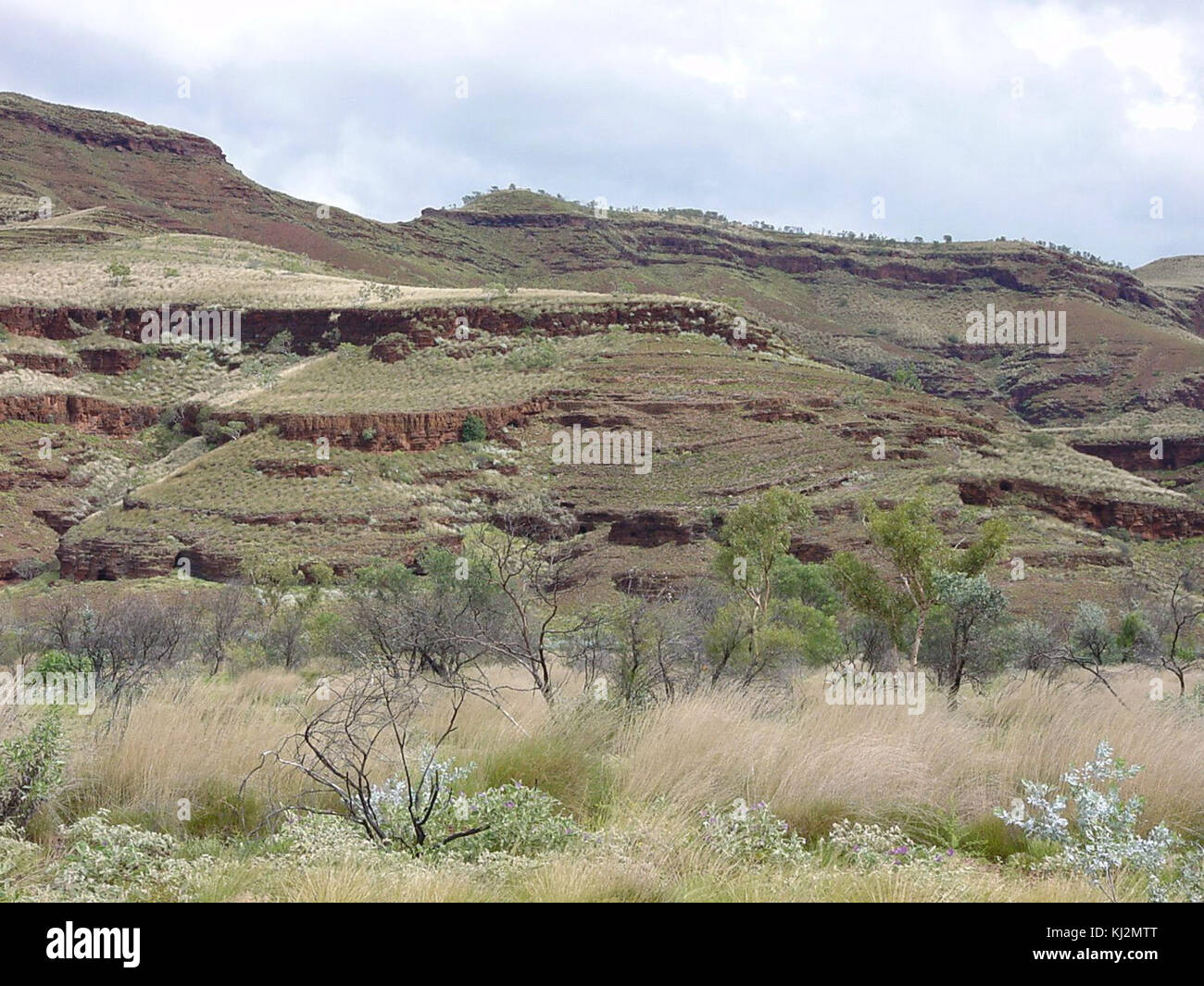 Rock strata along munjina wittenoom road Stock Photo