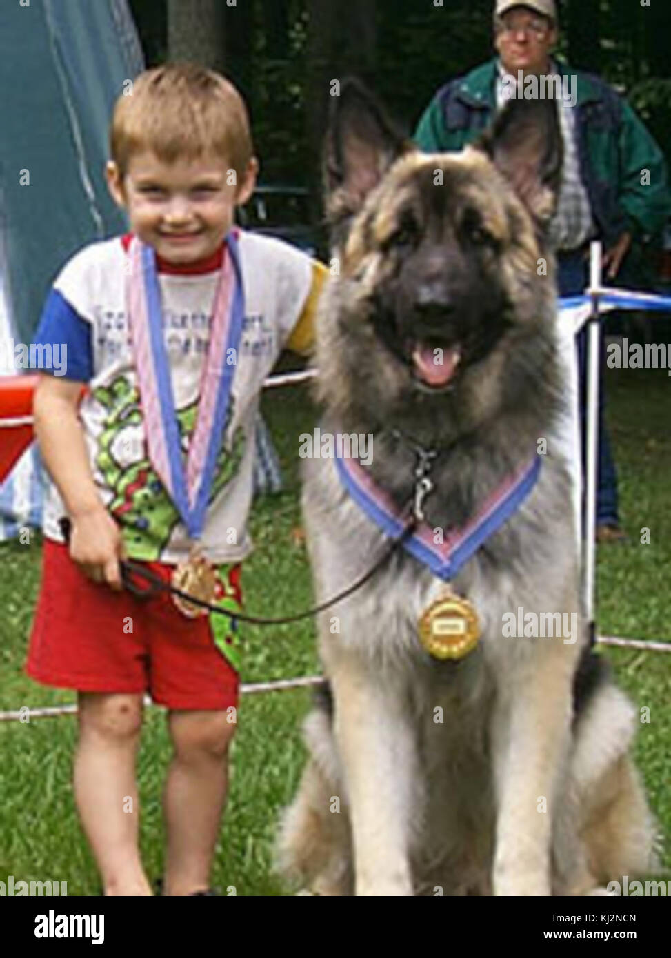 Shiloh Shepherd Dog