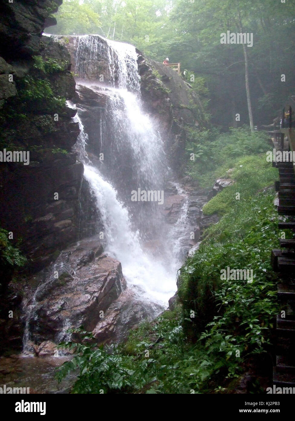 Waterfall in the forest with rocks Stock Photo - Alamy