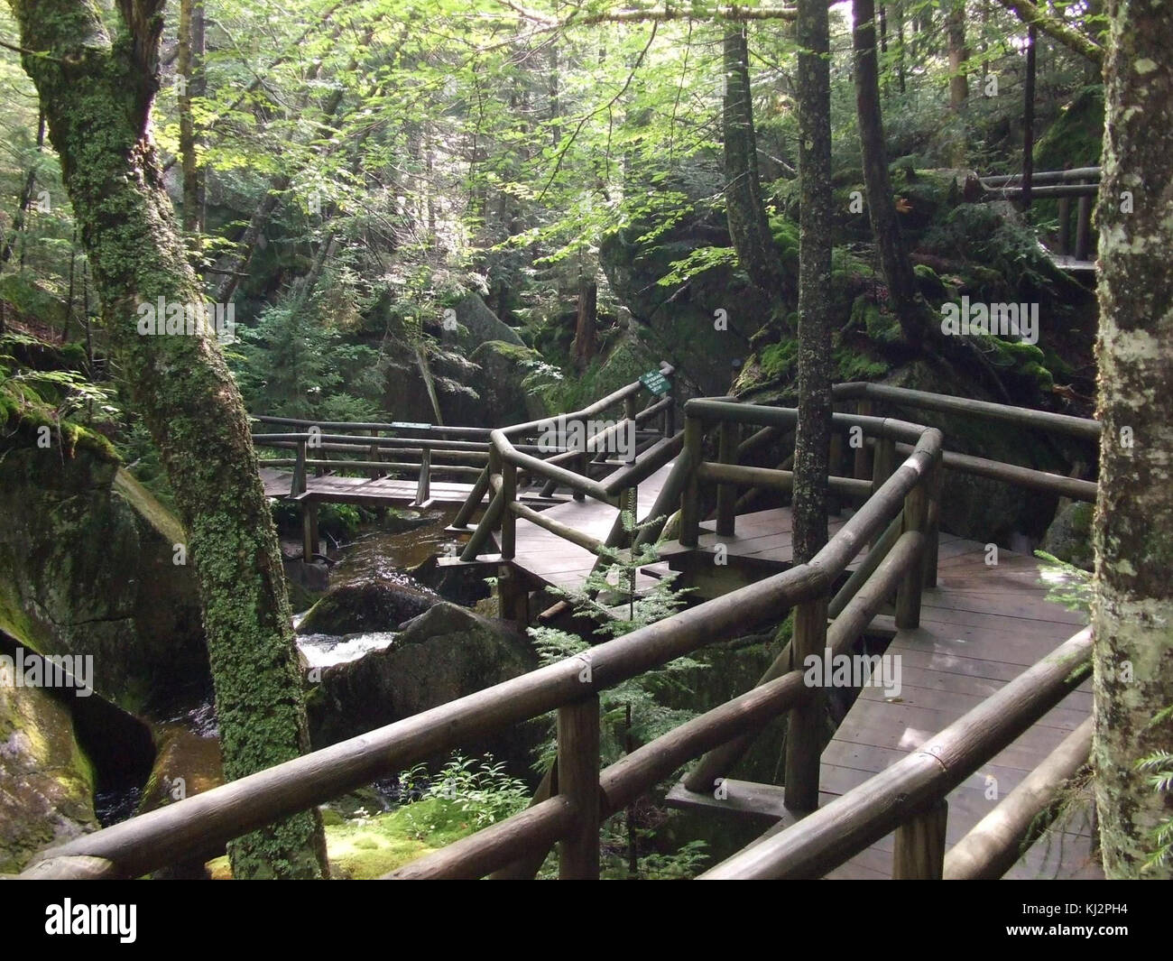 Bridge structure in nature hi-res stock photography and images - Alamy