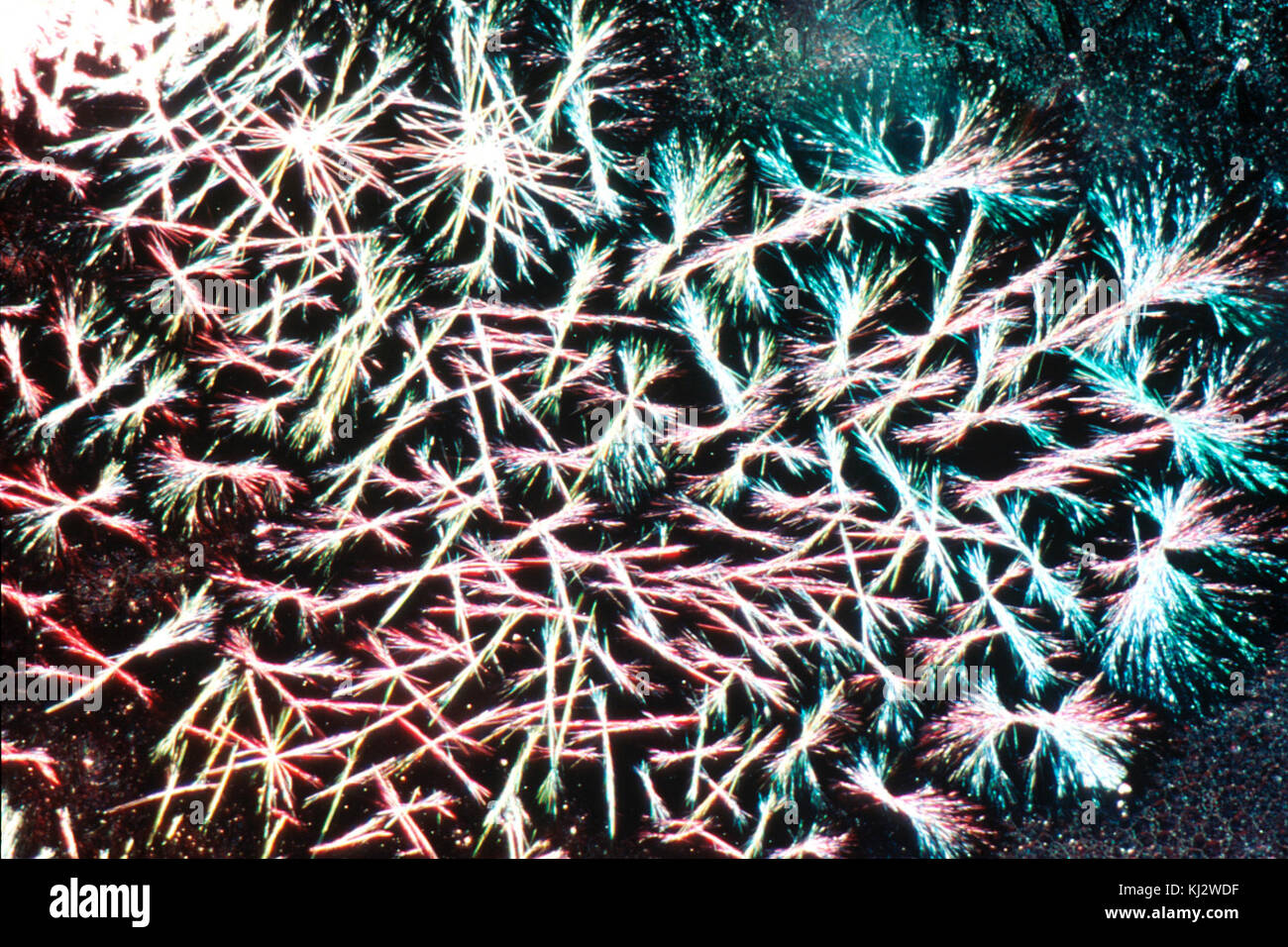 Ddi hi-res stock photography and images - Alamy