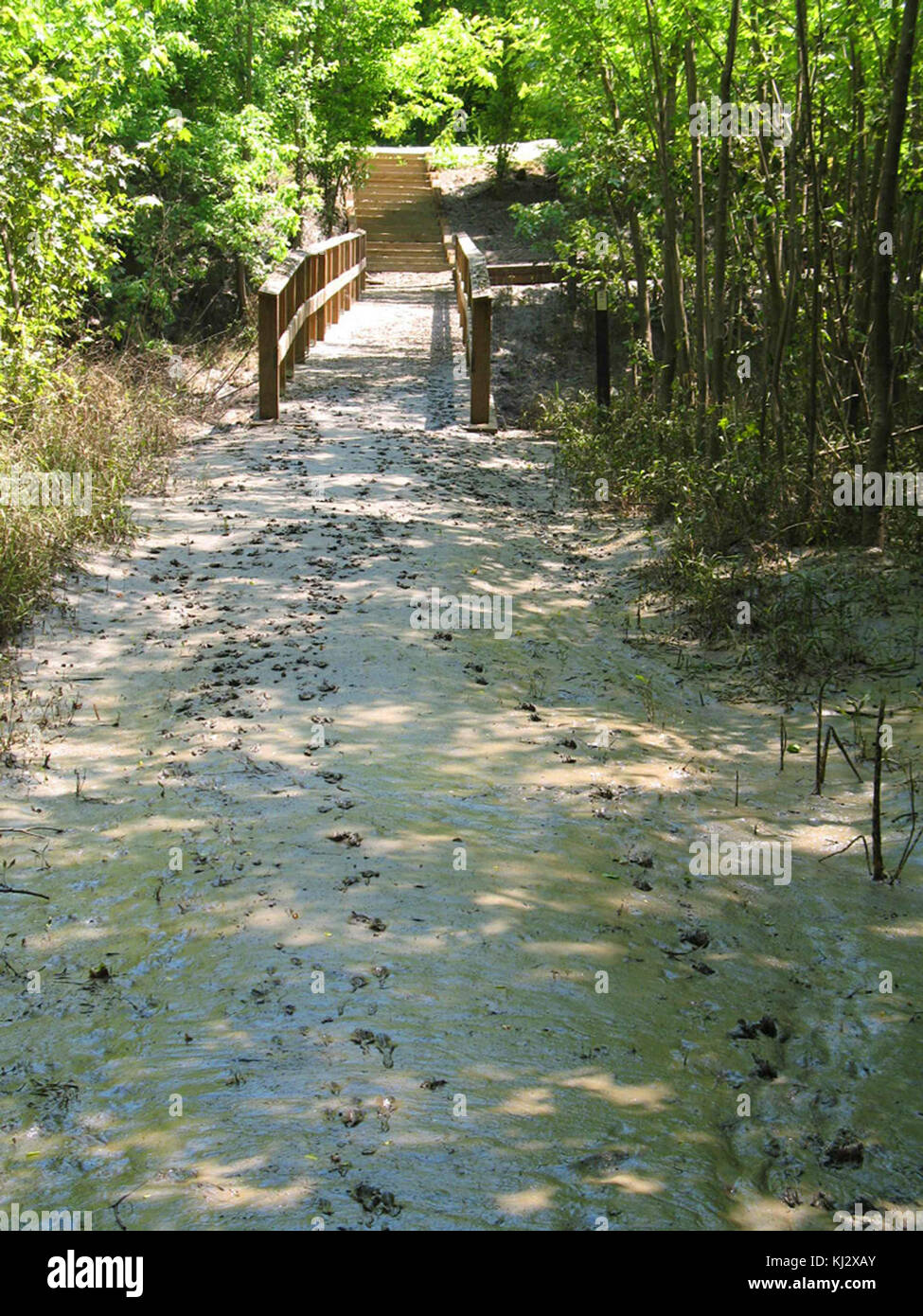 Sediment deposited on trail by Missouri river flooding Stock Photo Alamy