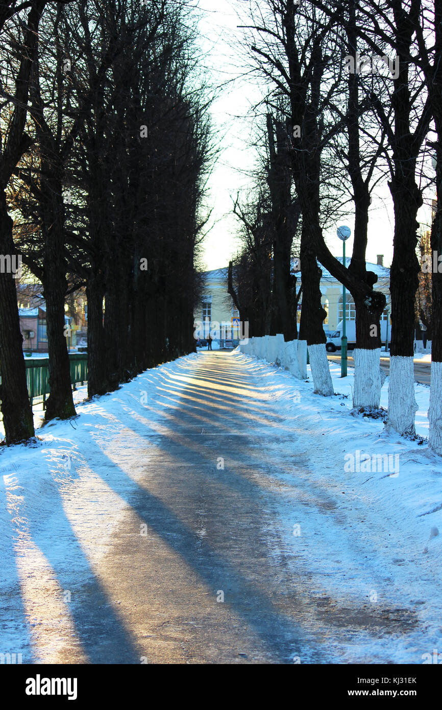 background of fresh white snow winter outdoor with stripes of shadows ...