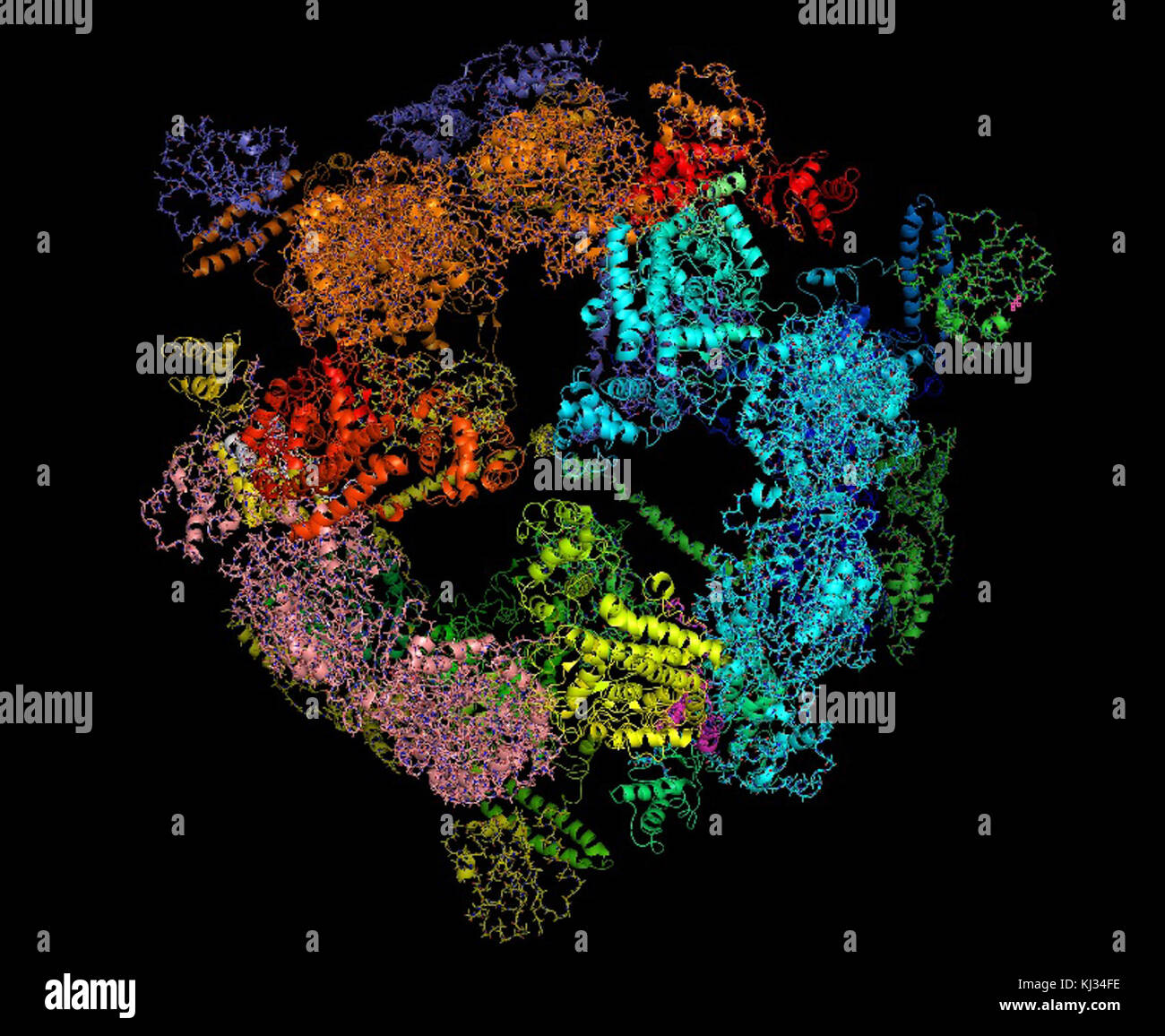 Yeast fatty acid synthase Stock Photo Alamy