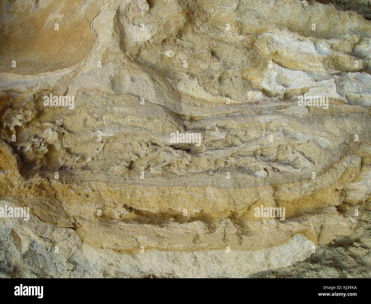 Rock and roots hi-res stock photography and images - Alamy