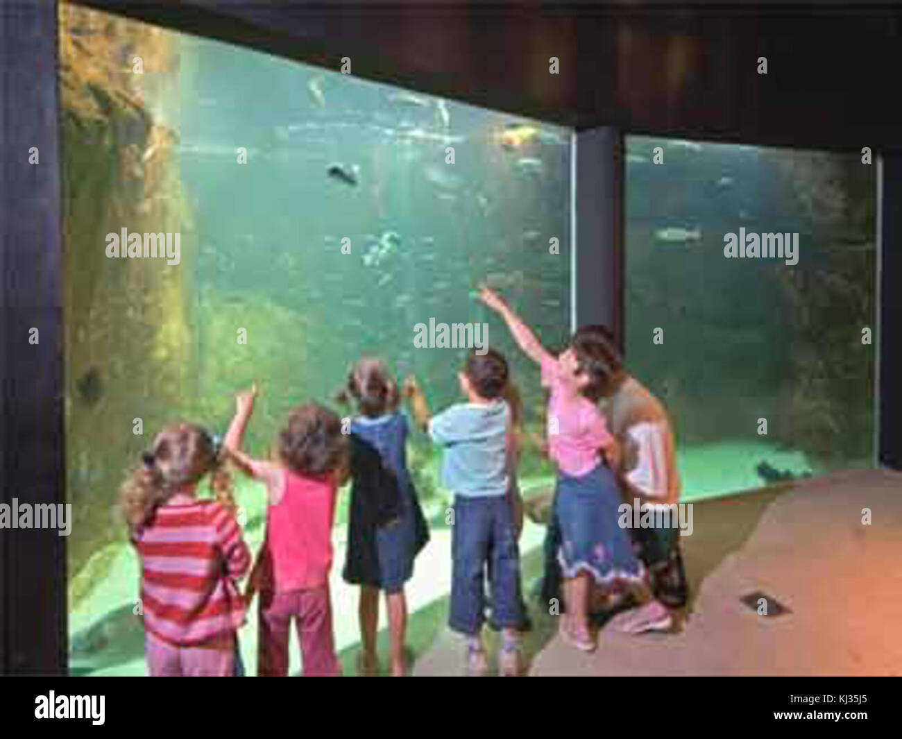 Trégastel aquarium hires stock photography and images Alamy