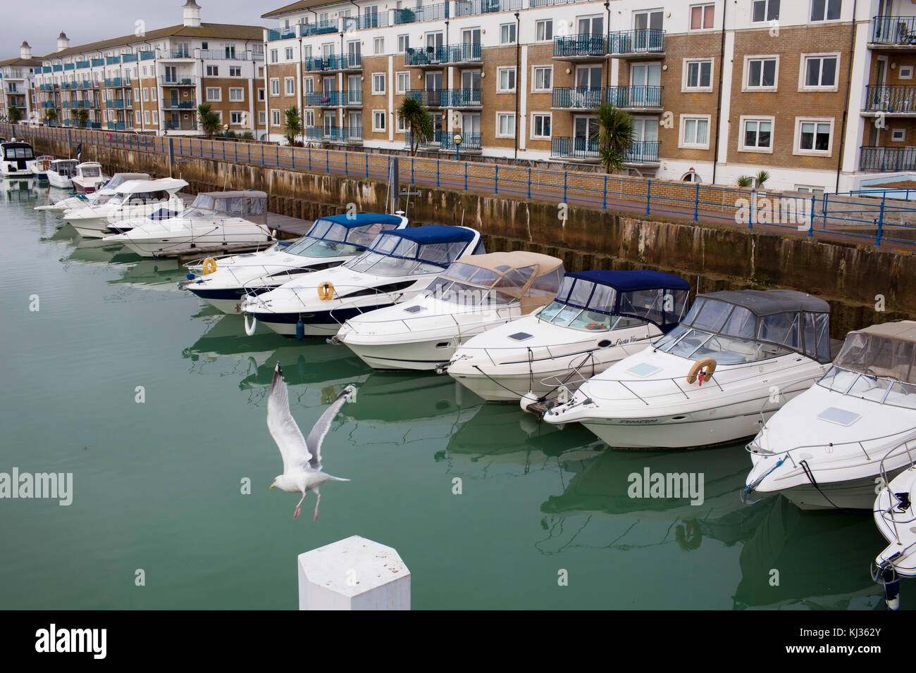Boats at Brighton's Marina Stock Photo Alamy