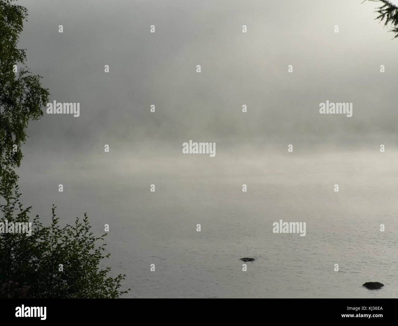 Morning mist on lake Stock Photo - Alamy