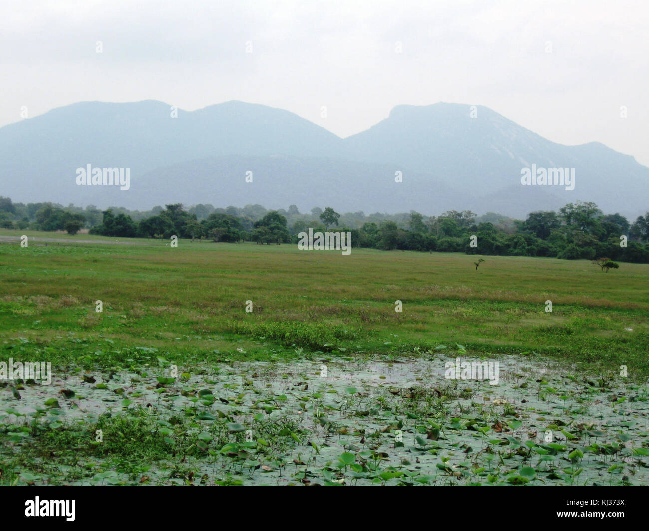 Higala Ridge Ritigala mountain range, Sri lanka Stock Photo - Alamy