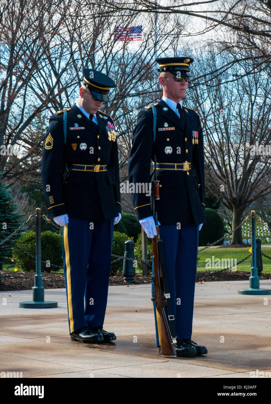 Changing of the Guard inspection (15856907530 Stock Photo Alamy