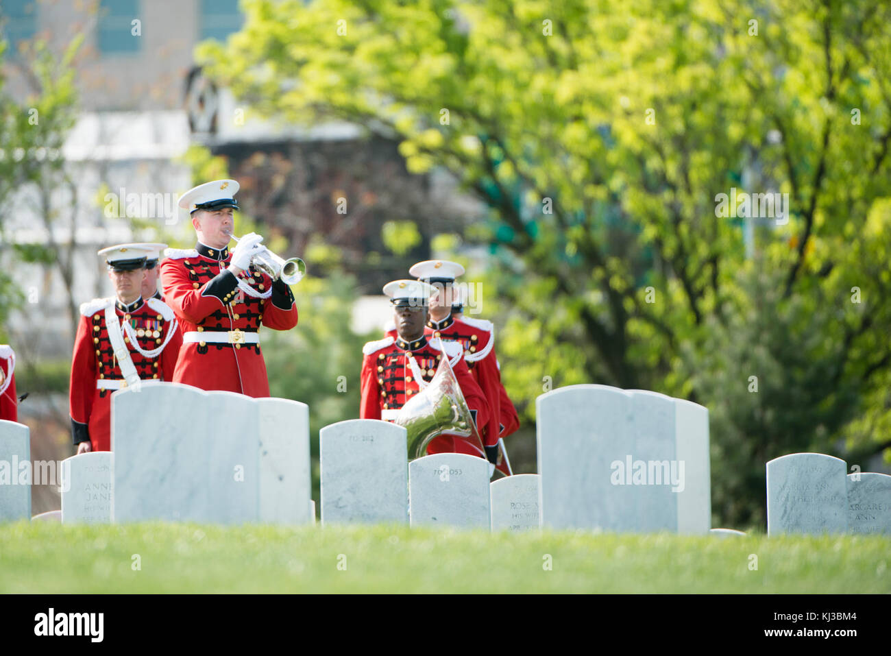 Bugler from Marine Barracks Washington (8th and I) plays Taps during the graveside service for U.S. Marine Corps Maj. Elizabeth Kealey in Arlington National Cemetery (16669699014) Stock Photo