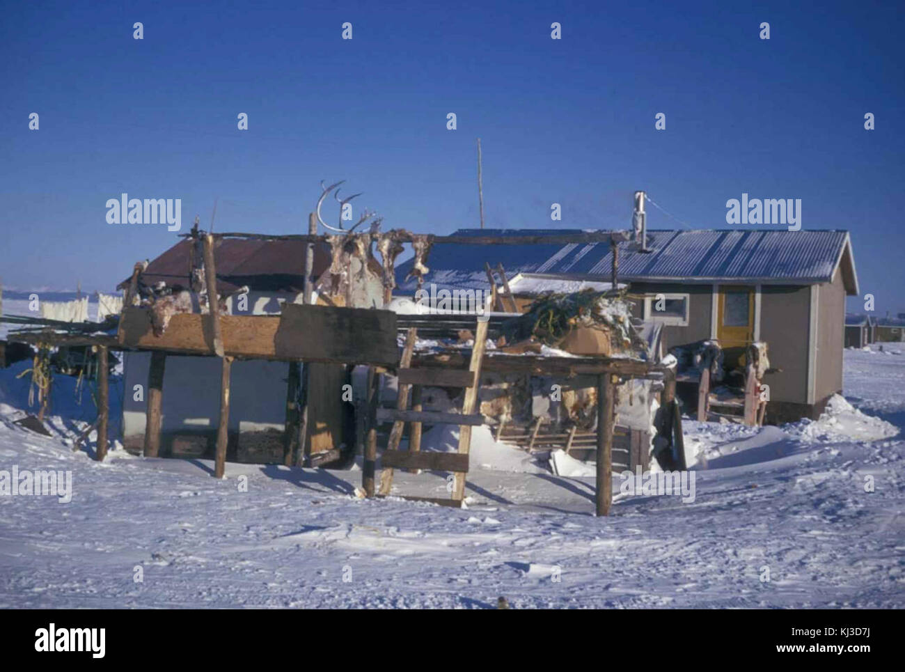 Village house and standing platform with caribou skins and antlers