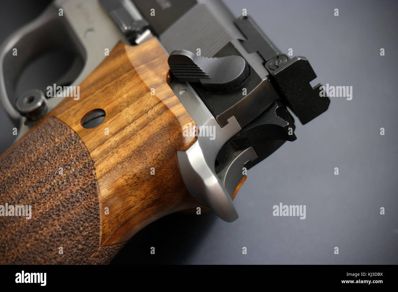 køretøj sporadisk Bare gør Smith and Wesson, Target Champion 9mm, detail (21090403400 Stock Photo -  Alamy