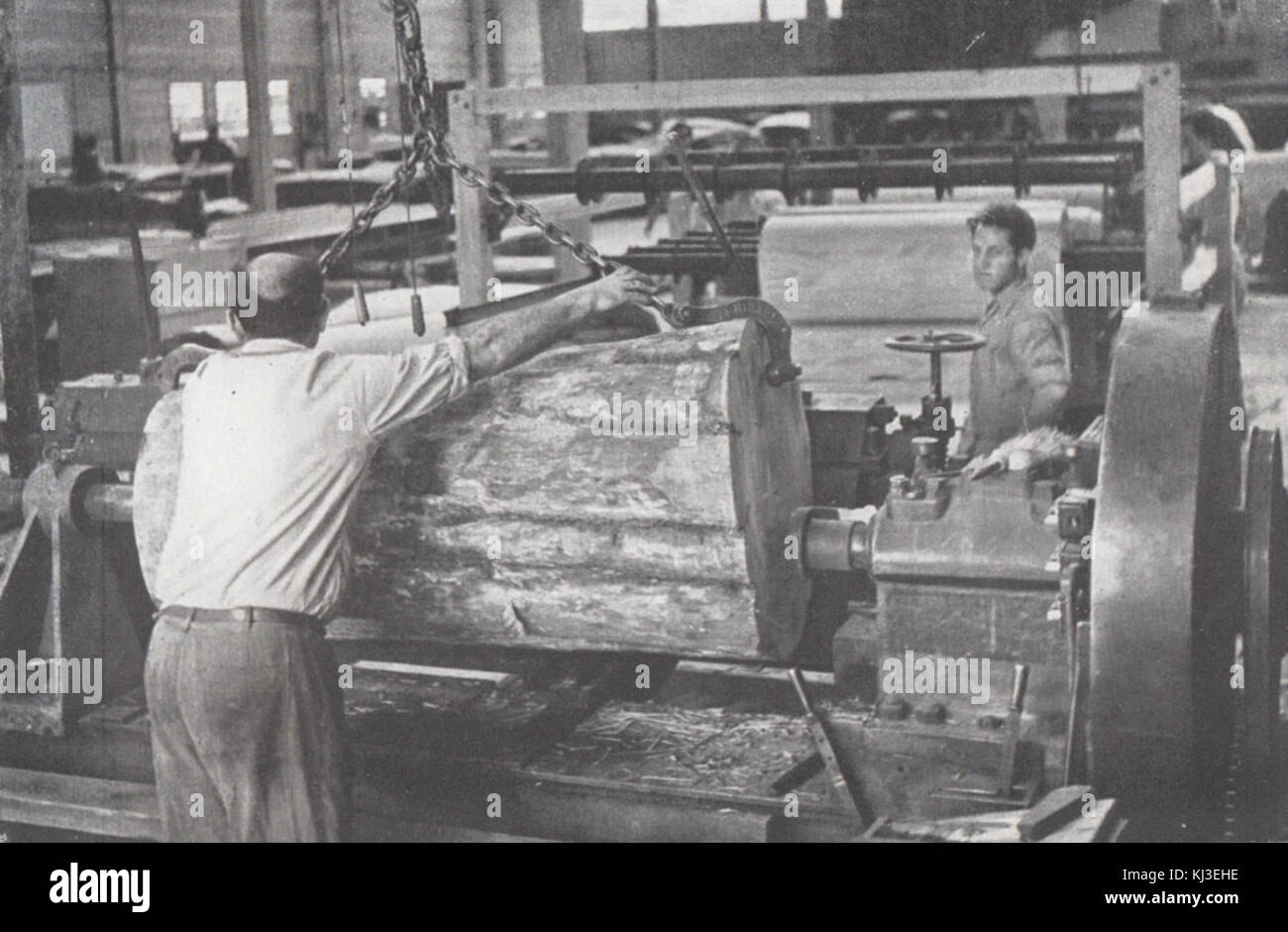 Israel 47184 Wood factory in Kibbutz Afikim Stock Photo - Alamy