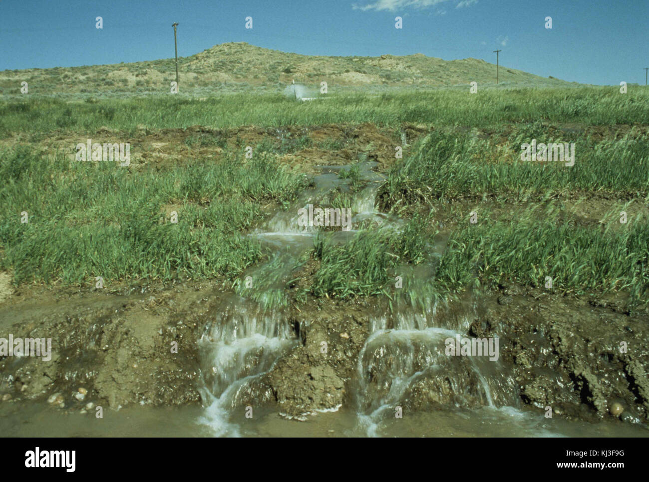 Water loss and erosion from irrigation runoff due to unregulated watering Stock Photo Alamy