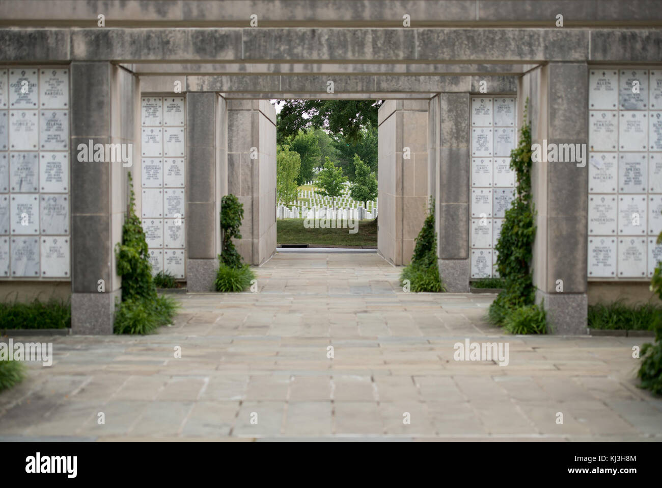 Summer flowers and plants grow outside of the Columbarium Courts in Arlington National Cemetery (27451582640) Stock Photo