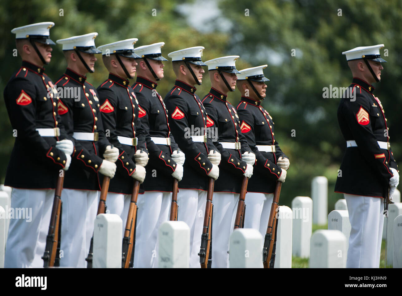 Graveside service for U.S. Marine Corps Pvt. Robert Carter Jr. in Arlington National Cemetery (27672455543) Stock Photo