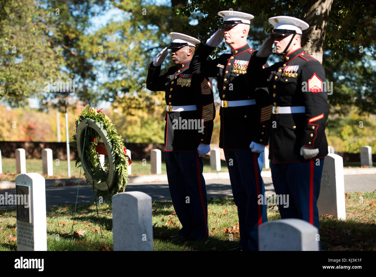 U.S. Marines place wreaths for the 241st Marine Corps Birthday in Arlington National Cemetery (30864335096) Stock Photo