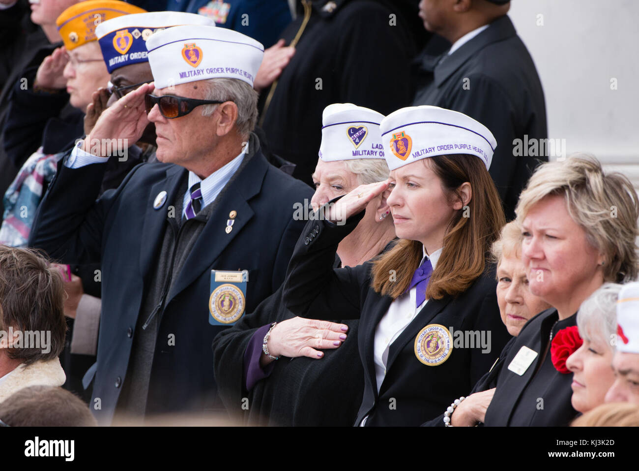 Veterans Day in Arlington National Cemetery (30623230500 Stock Photo