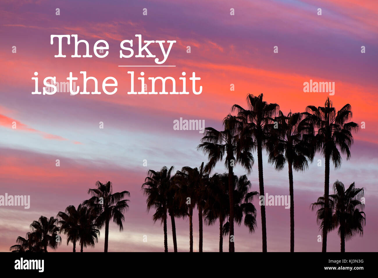 sky is the limit quote
