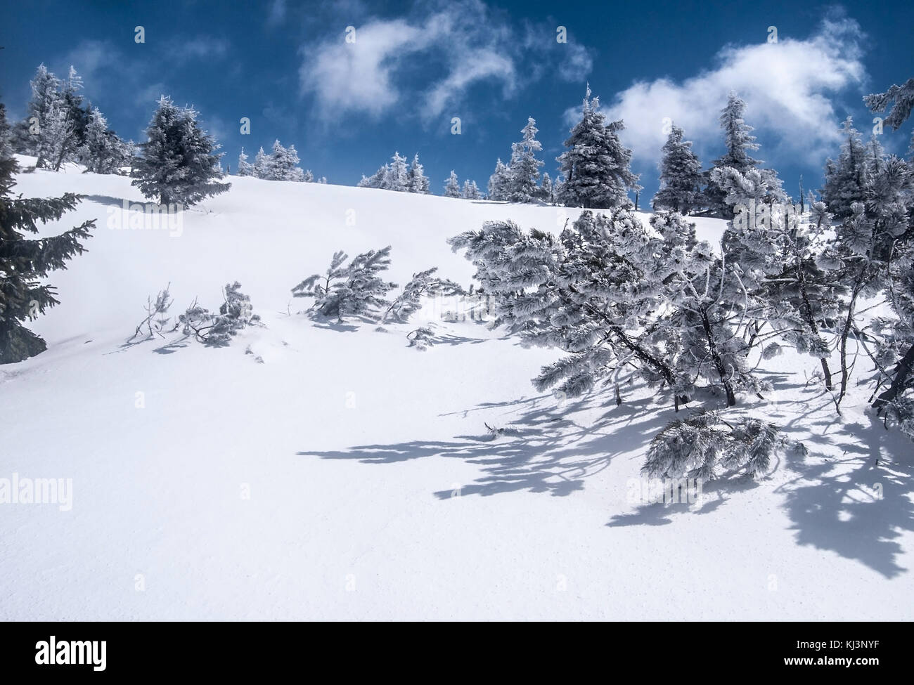 winter Jeseniky mountains near Velky Maj hill in Czech republic with snow, small tress and blue sky with clouds Stock Photo