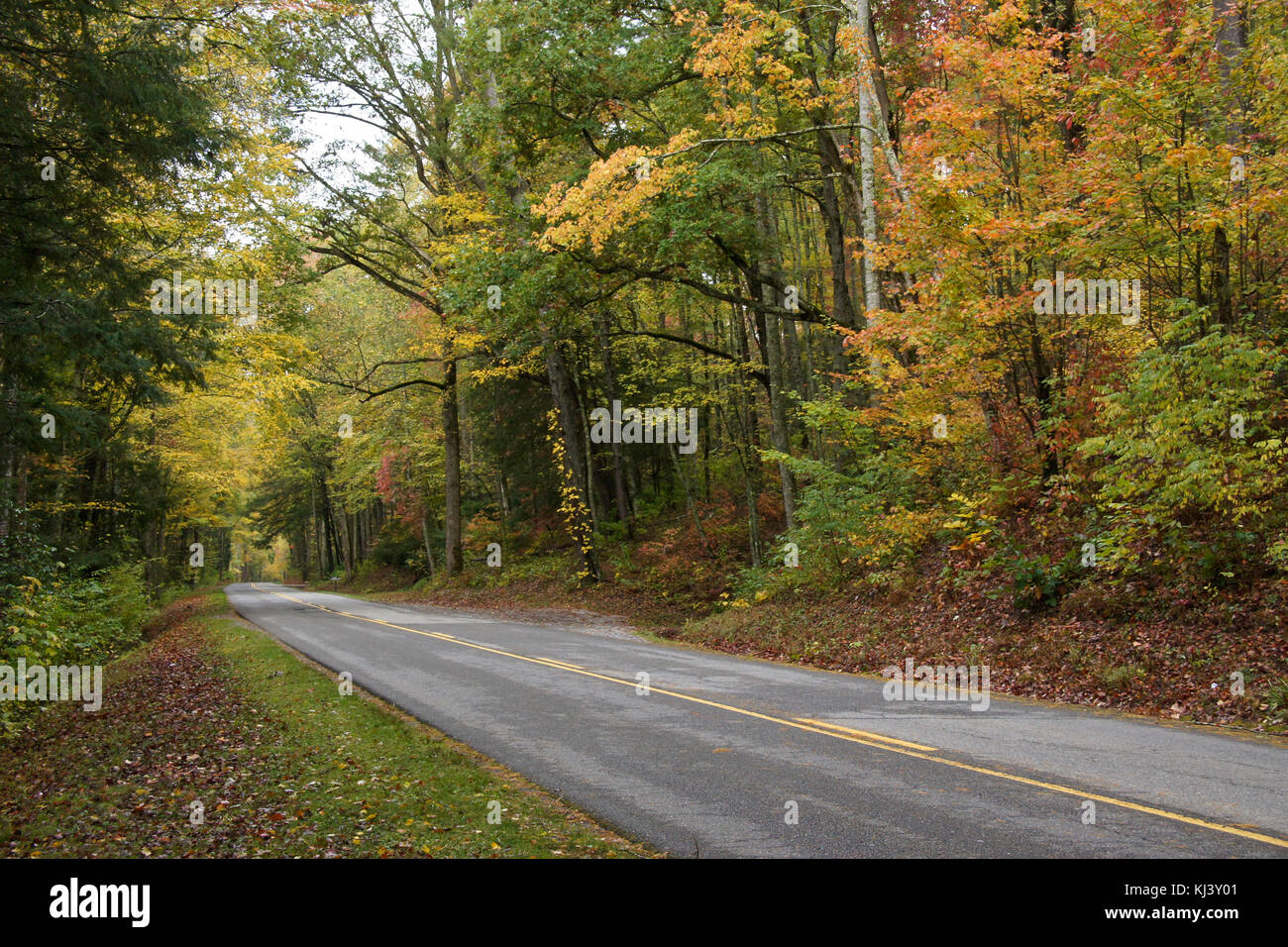 Autumn foliage along Little River Road, Great Smoky Mountains National Park, Tennessee Stock Photo