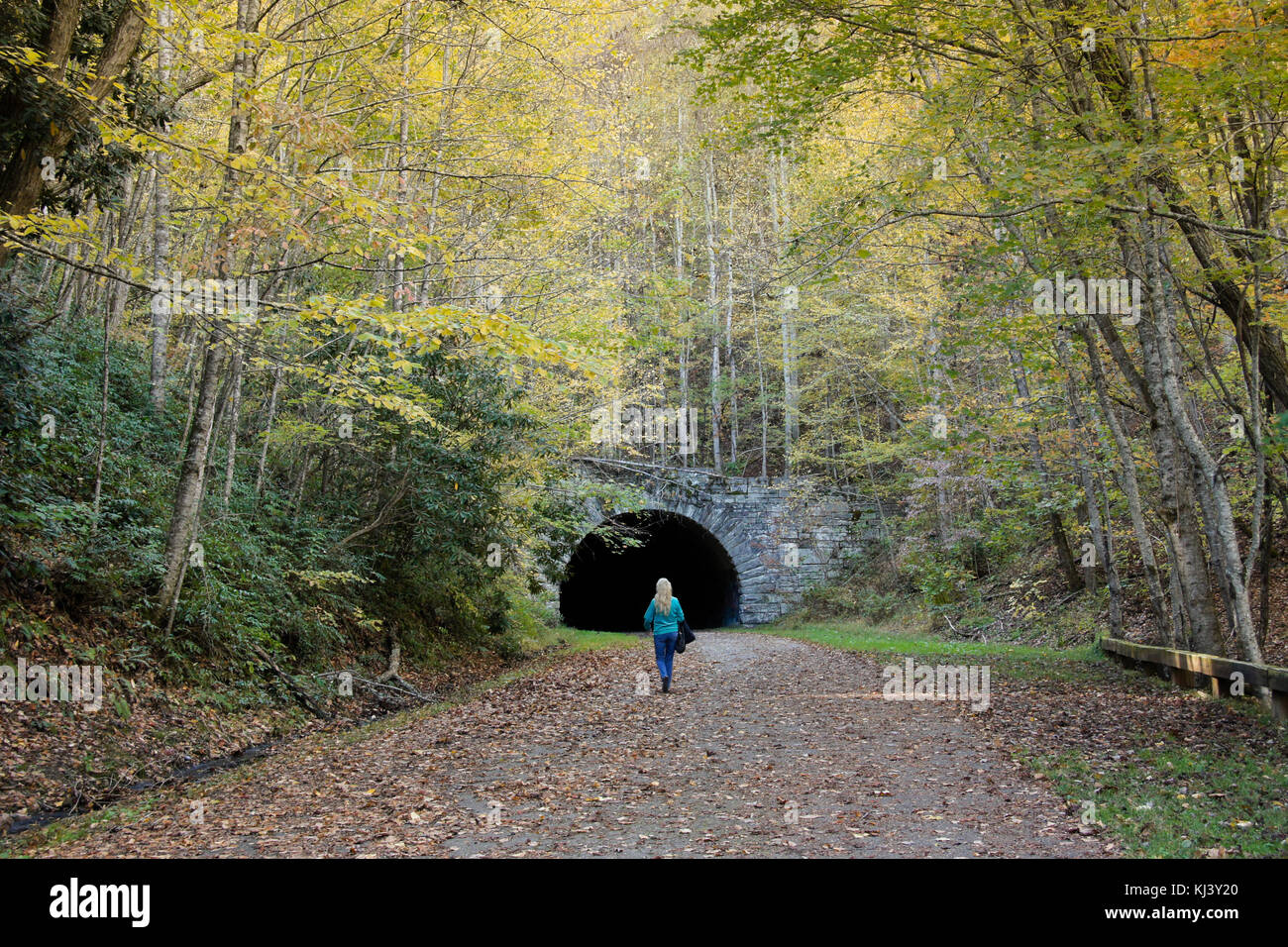 Tunnel at the end of The Road to Nowhere near Bryson City, Swain County, North Carolina Stock Photo