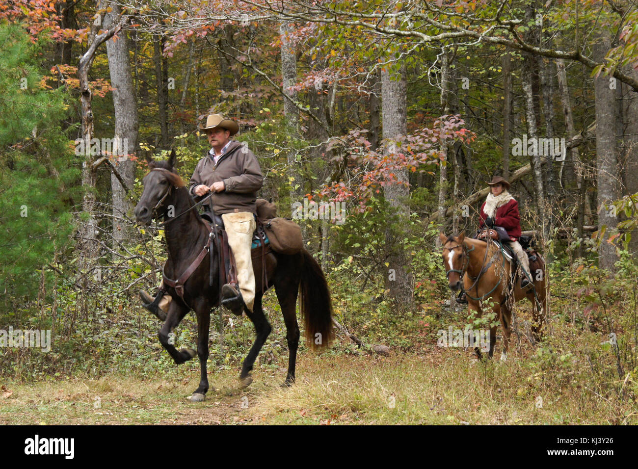 Trail riders amid autumn foliage, Cades Cove, Great Smoky Mountains National Park, Tennessee Stock Photo