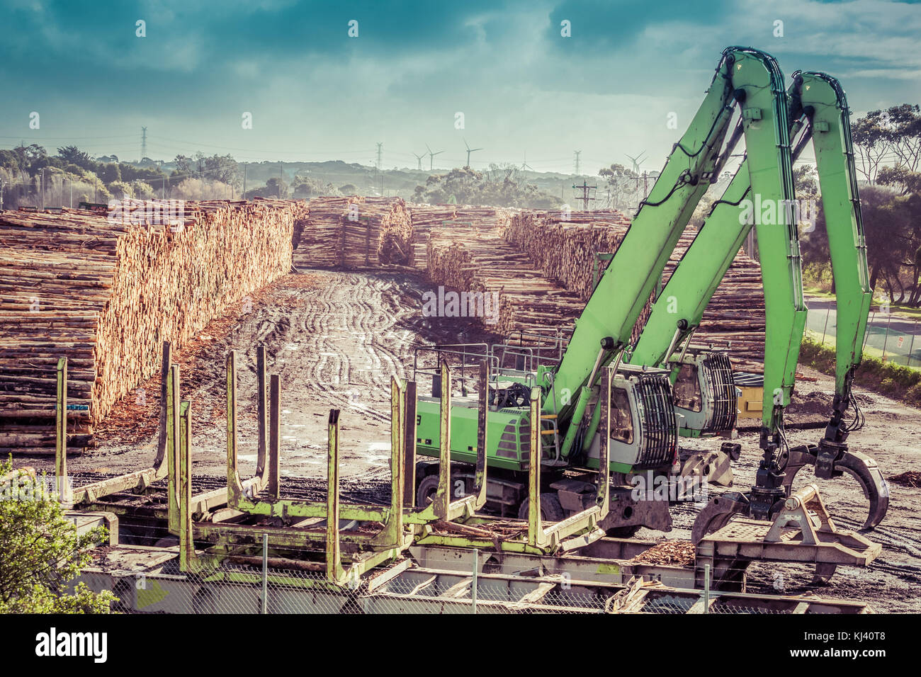 Lumberyard with log hires stock photography and images Alamy