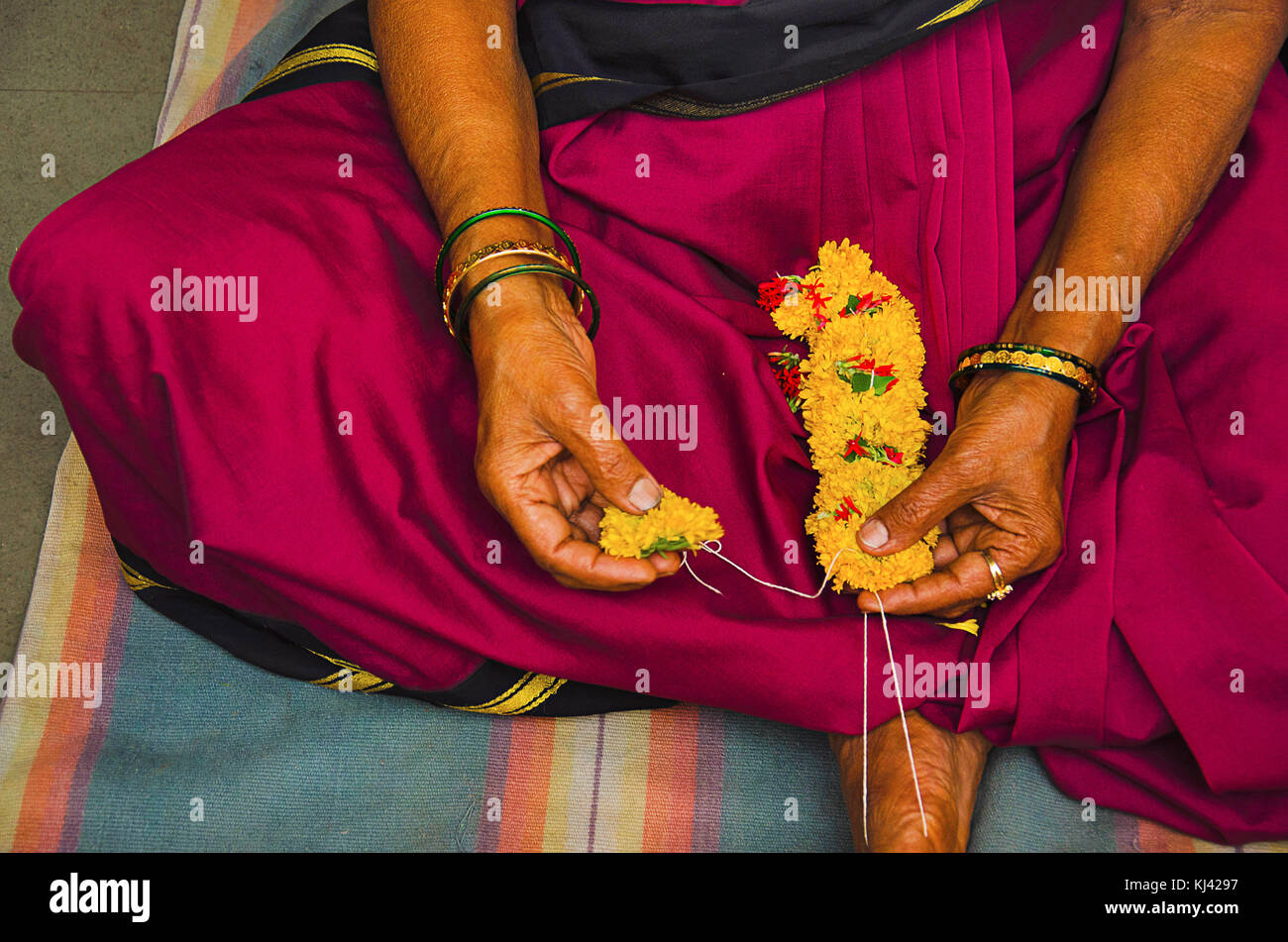 Woman devotee, wearing 9 yard saree making yellow flowers garland for the ceremonial puja of the deity. Patit Pavan Sri Ram Mandir, Belgavi, Karnataka Stock Photo