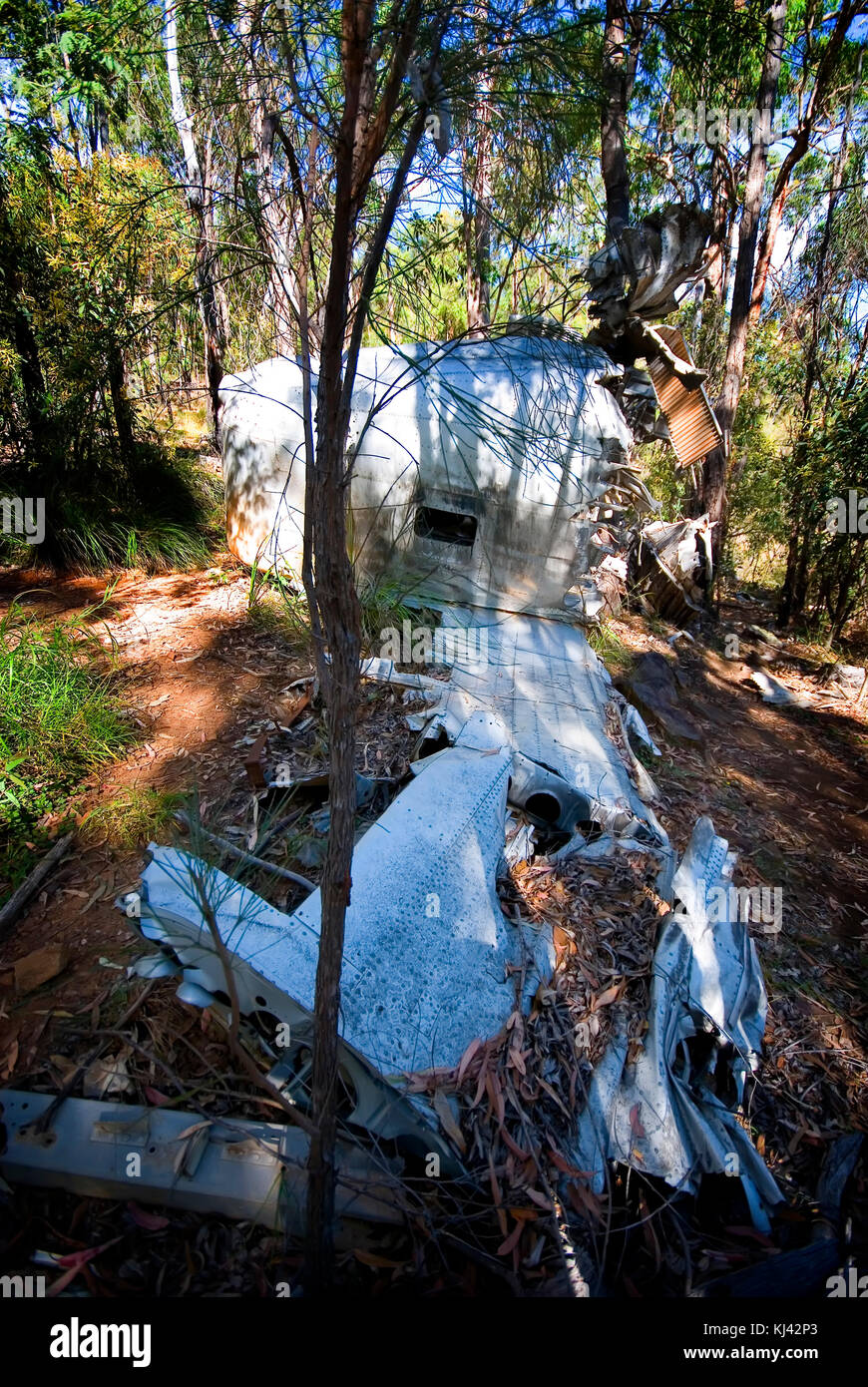 The wreckage of Beautiful Betsy, an American Liberator bomber that crashed in 1945 on Kroombit