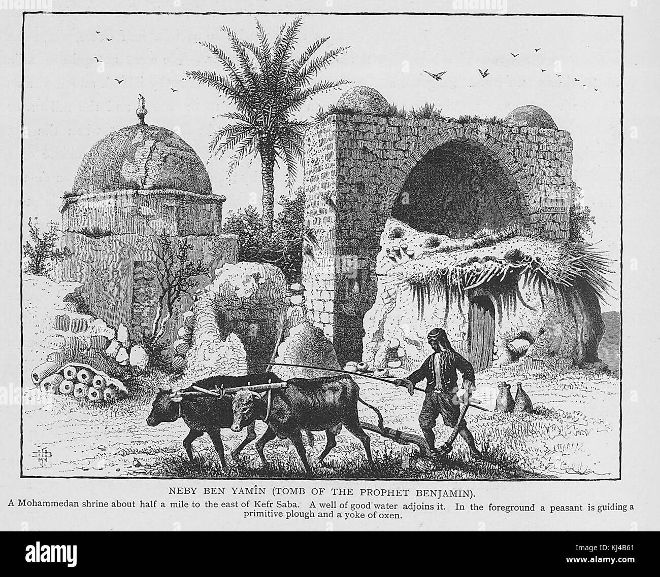 Wood engraving titled Neby ben Yamin (Tomb of the prophet Benjamin), a Mohammaden shrine about half a mile to the east of Kefr Saba, a well of good water adjoins it, in the foreground a peasant is guiding a primitive plough and a yoke of oxen, by John Douglas Woodward, from the book Picturesque Palestine, Sinai, and Egypt, by Sir Charles William Wilson, 1882. From the New York Public Library. Stock Photo