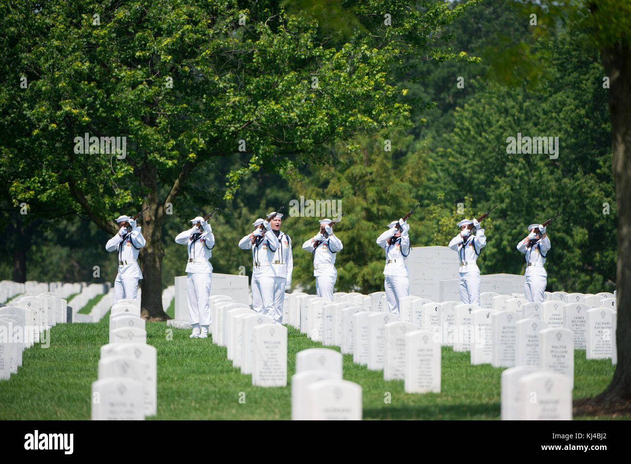 Graveside Service for U.S. Navy Fire Controlman Chief Gary Leo Rehm Jr. at Arlington National Cemetery (36447955822) Stock Photo