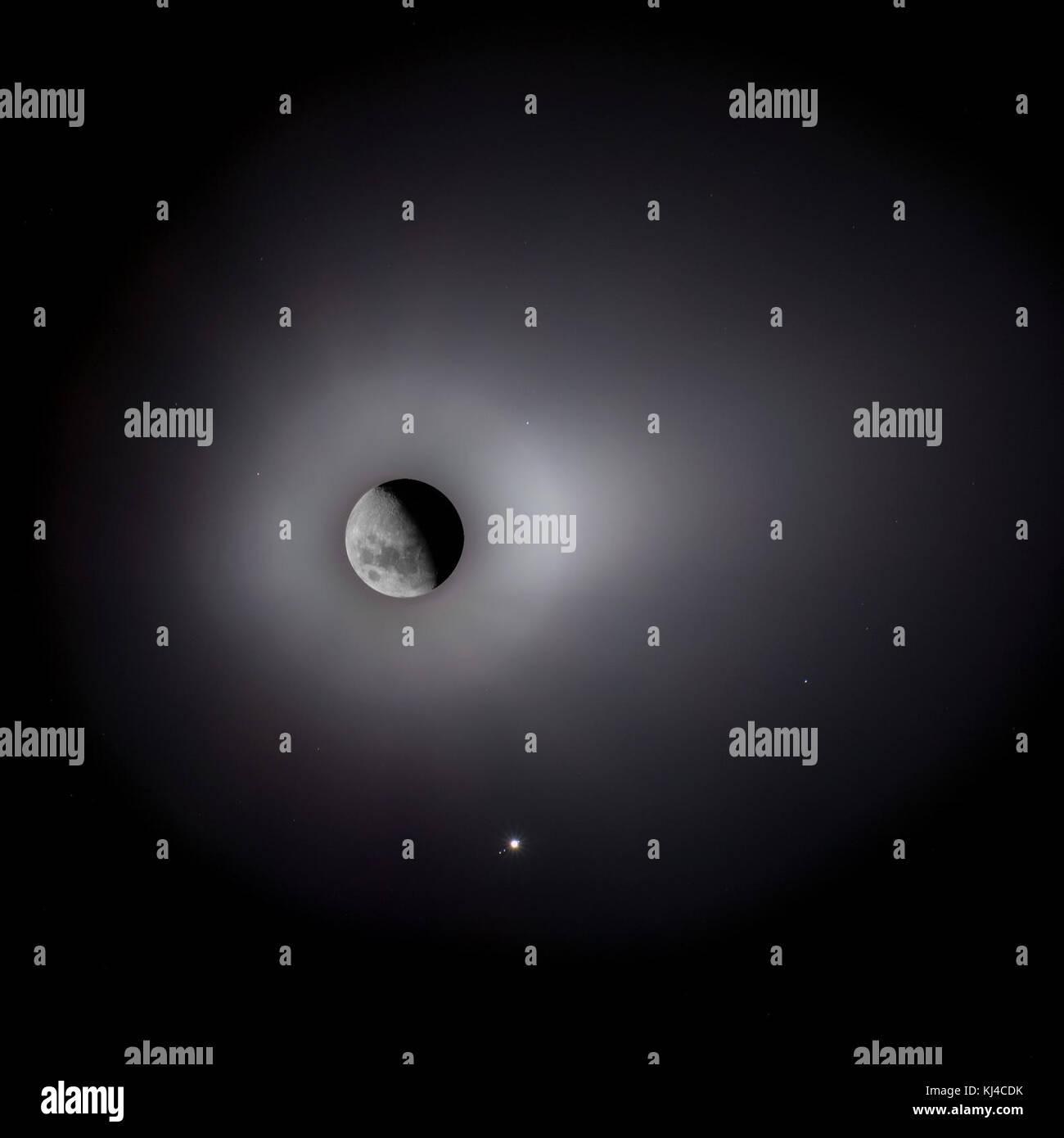 The King of the and his Lovers Stock Photo Alamy