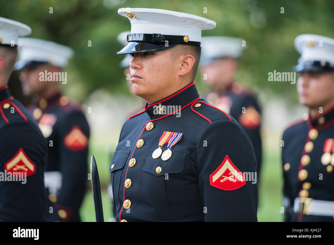 Full Honors Repatriation of U.S. Marine Corps 2nd Lt. George S. Bussa at Arlington National Cemetery (37576821546) Stock Photo