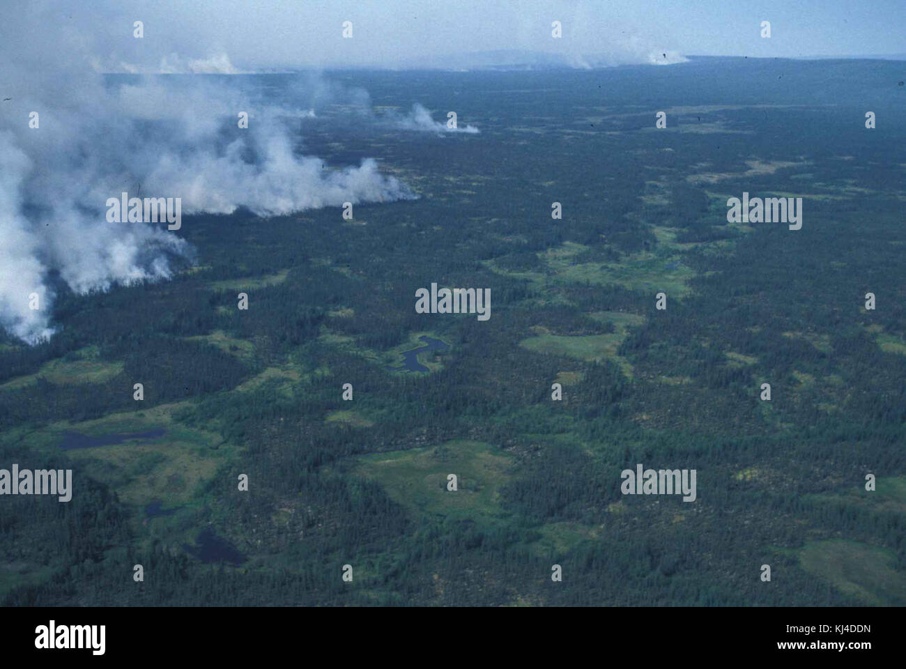 Aerial photography of forest fire and smoke Stock Photo - Alamy