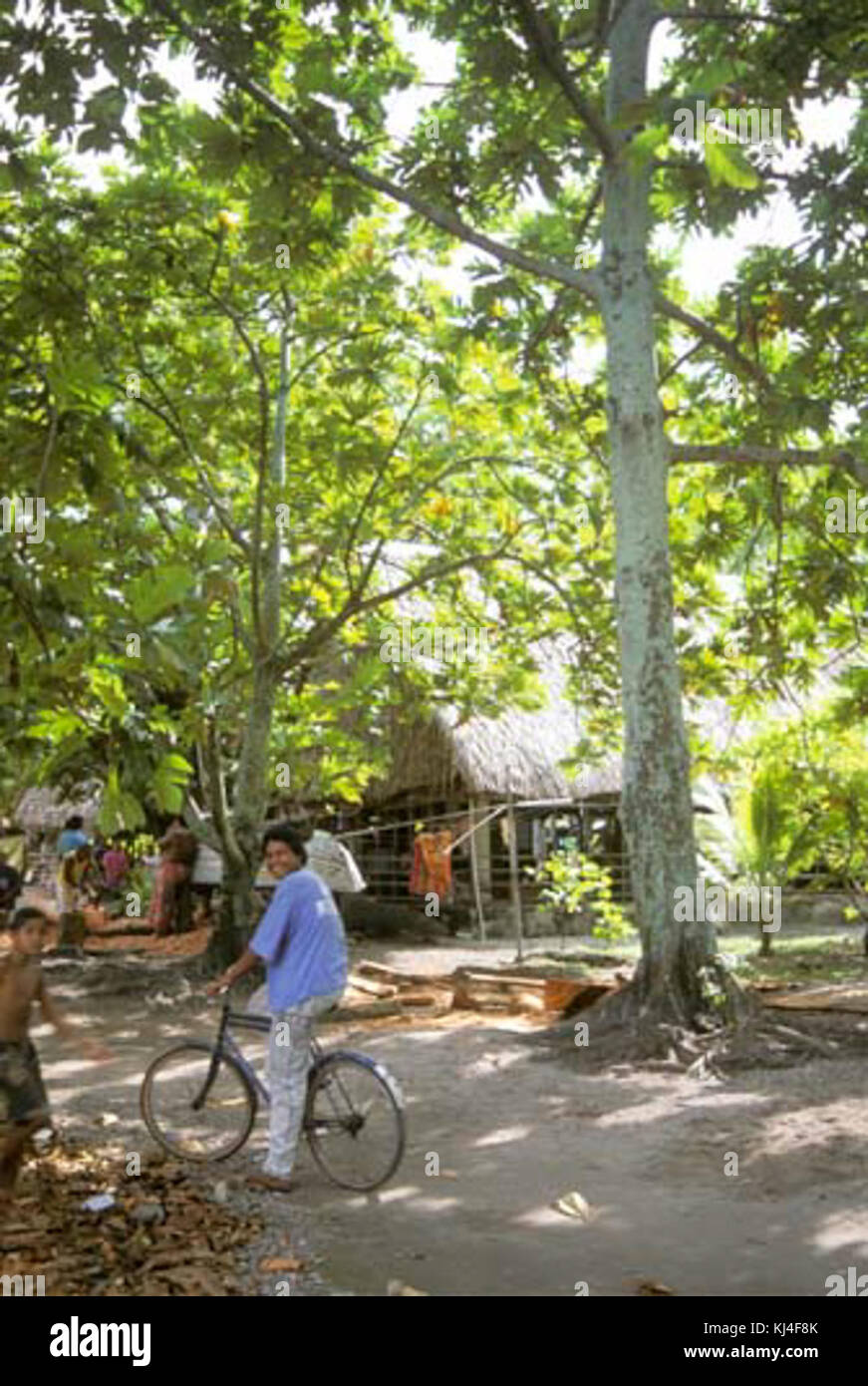 Nanumea street scene Stock Photo Alamy