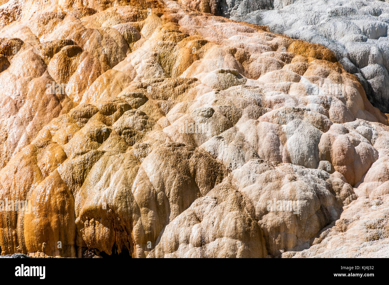 Mammoth Hot Springs travertine concretions in Yellowstone National Park Stock Photo