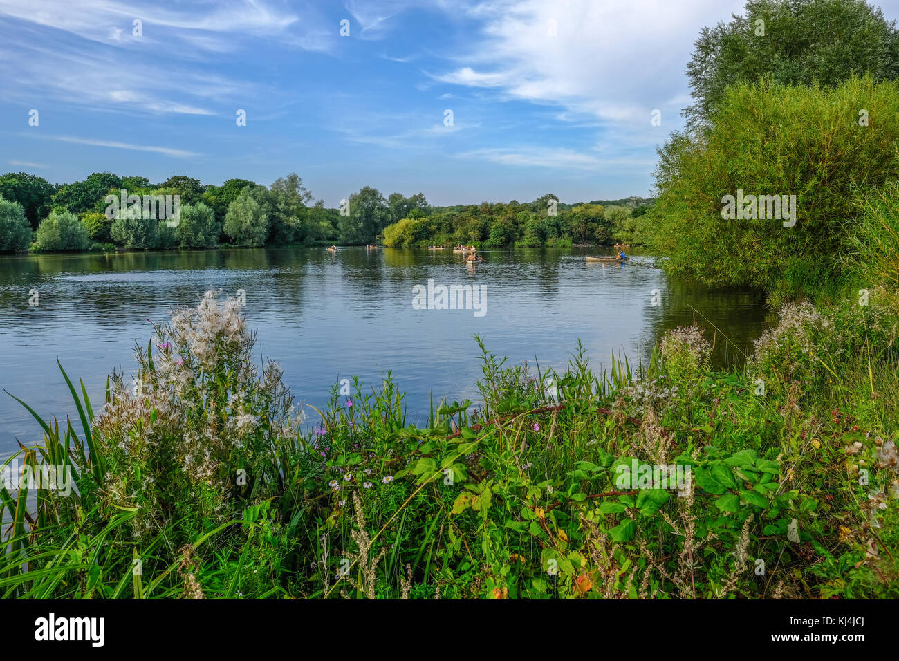 Boats on the lake in a country park on a summer day.  Wild plants in the foreground. Stock Photo