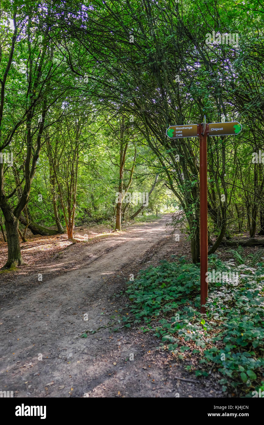 Forest path with sign post and lovely dappled lighting.  Summer shot looking along the path. Stock Photo