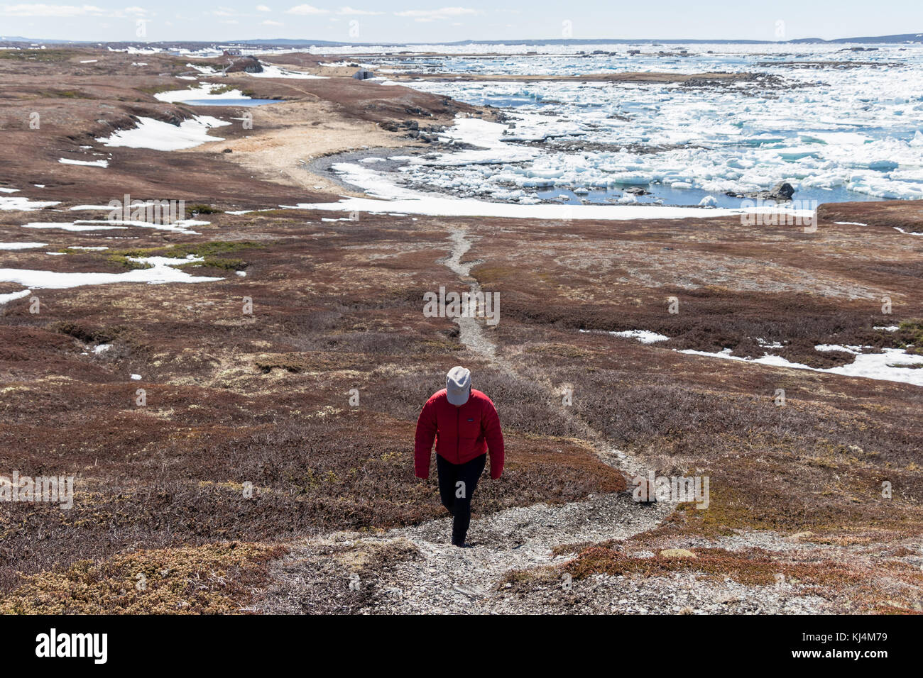 Woman hiking at L'Anse Aux Meadows, Newfoundland, Canada Stock Photo