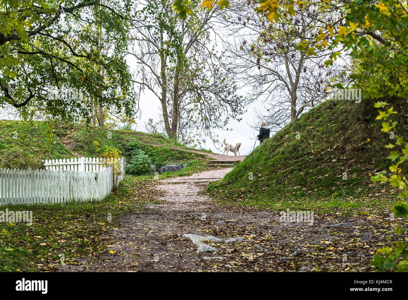 Dog walking, Vaxholm, Stockholm archipelago, Sweden Stock Photo Alamy