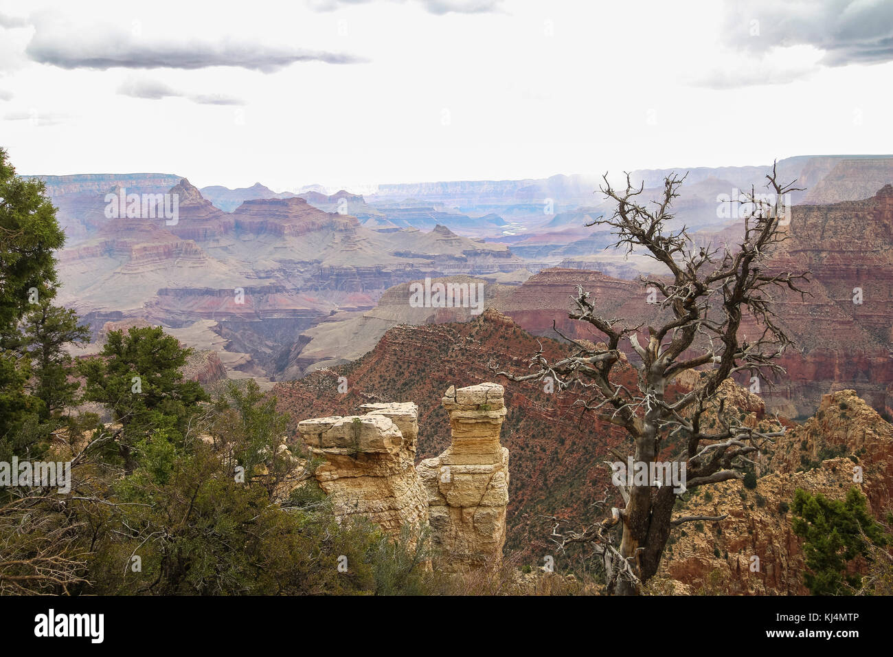 View at the Grand Canyon landscape with thunderstorm Stock Photo - Alamy