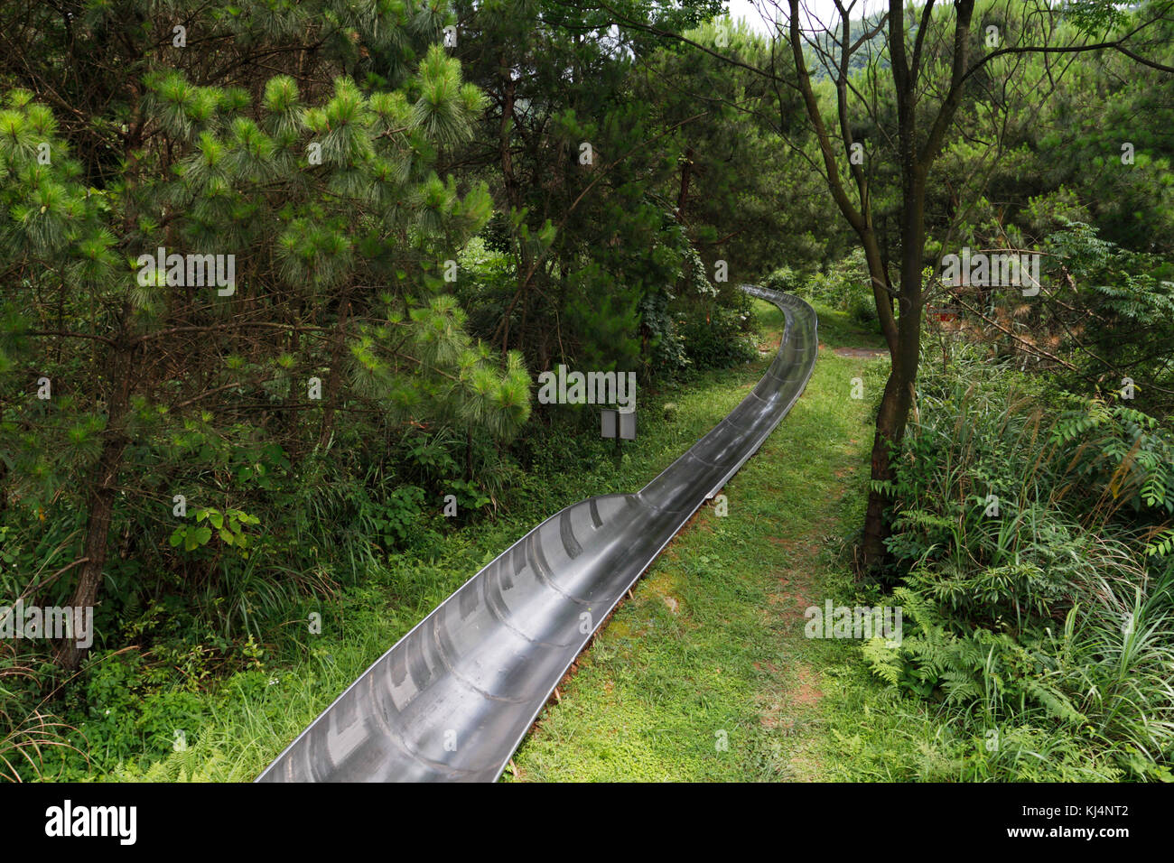 Luge track in the forest - Guilin, China Stock Photo