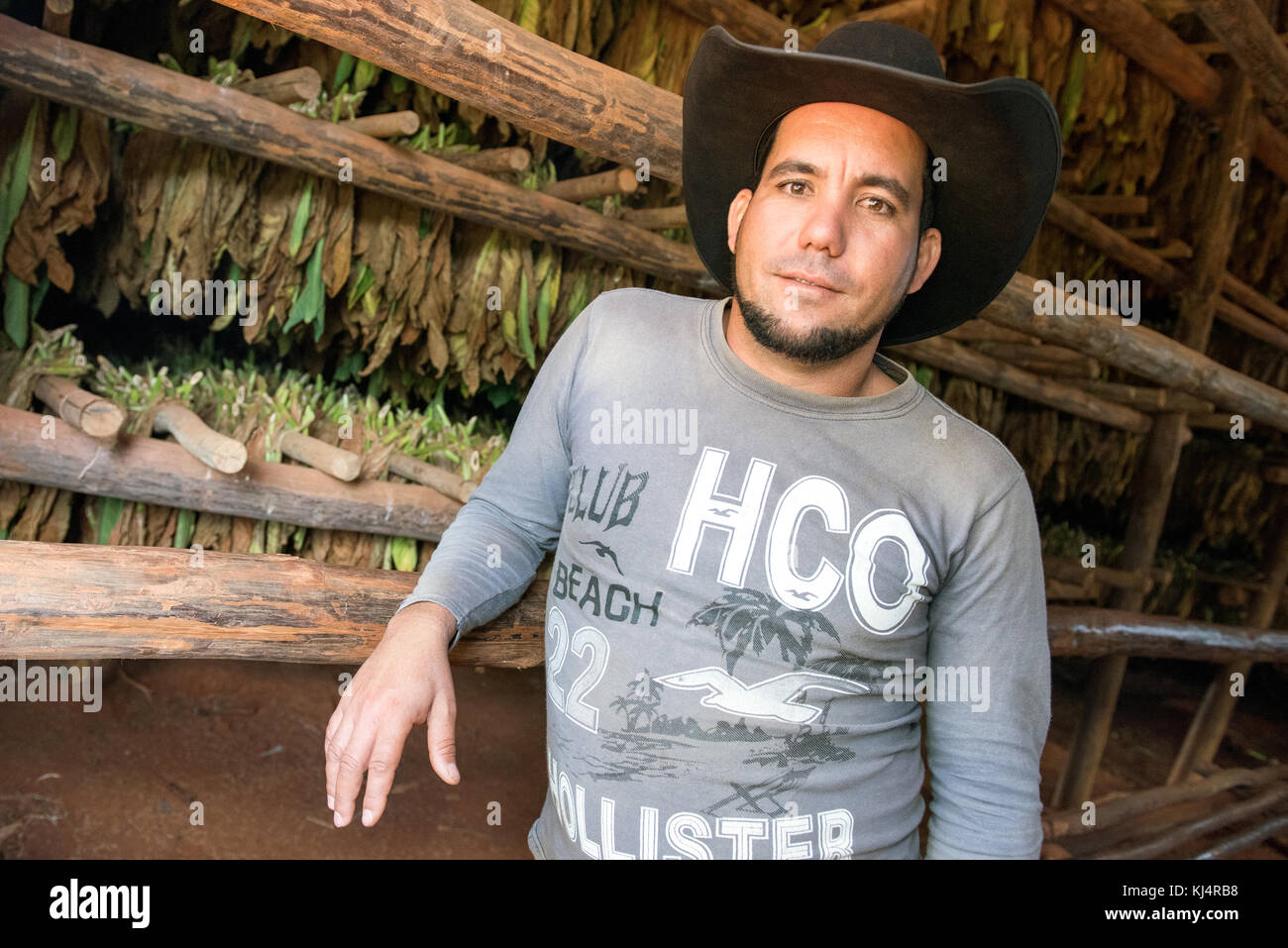 Tobacco Grower, Pinar Del Rio, Cuba Stock Photo