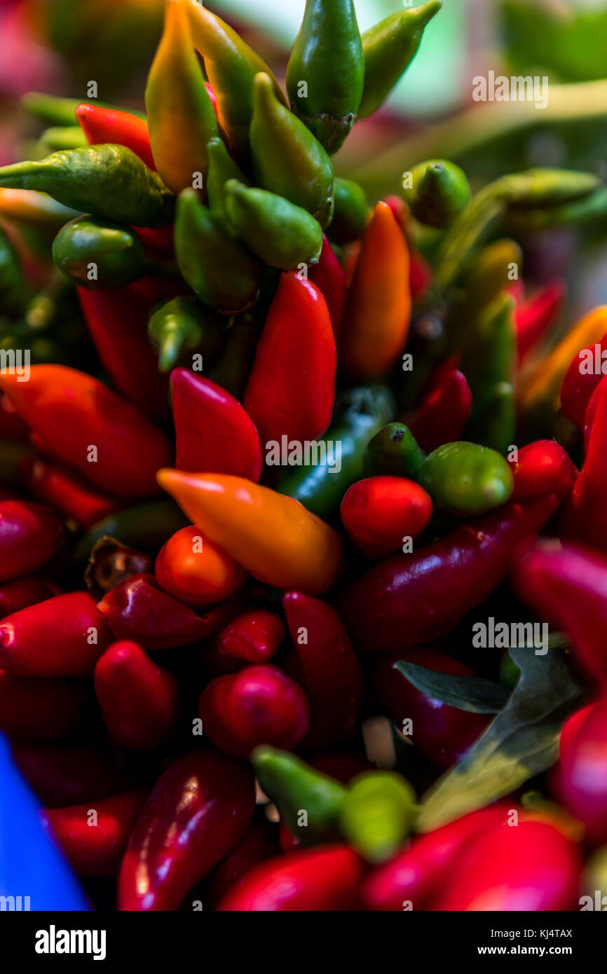 Bologna city life, Italy Stock Photo Alamy