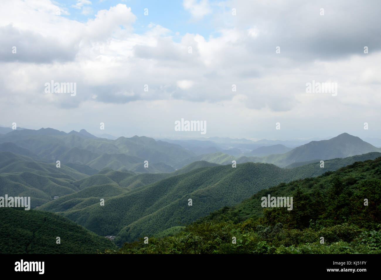 View over bamboo forest mountain valley at Moganshan in China Stock Photo