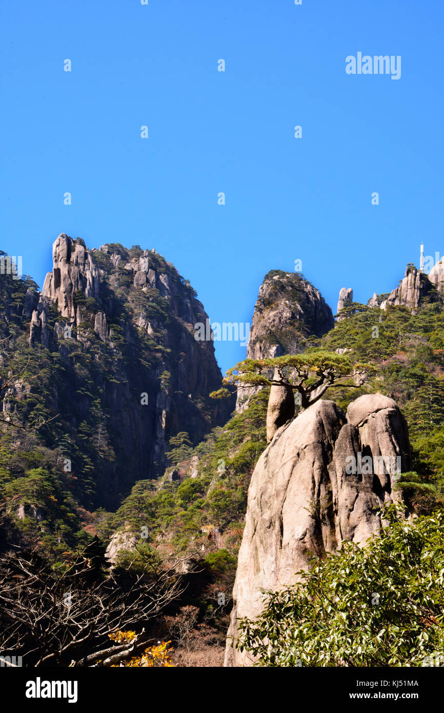 Yellow Mountain looking up towards the peak in China Stock Photo