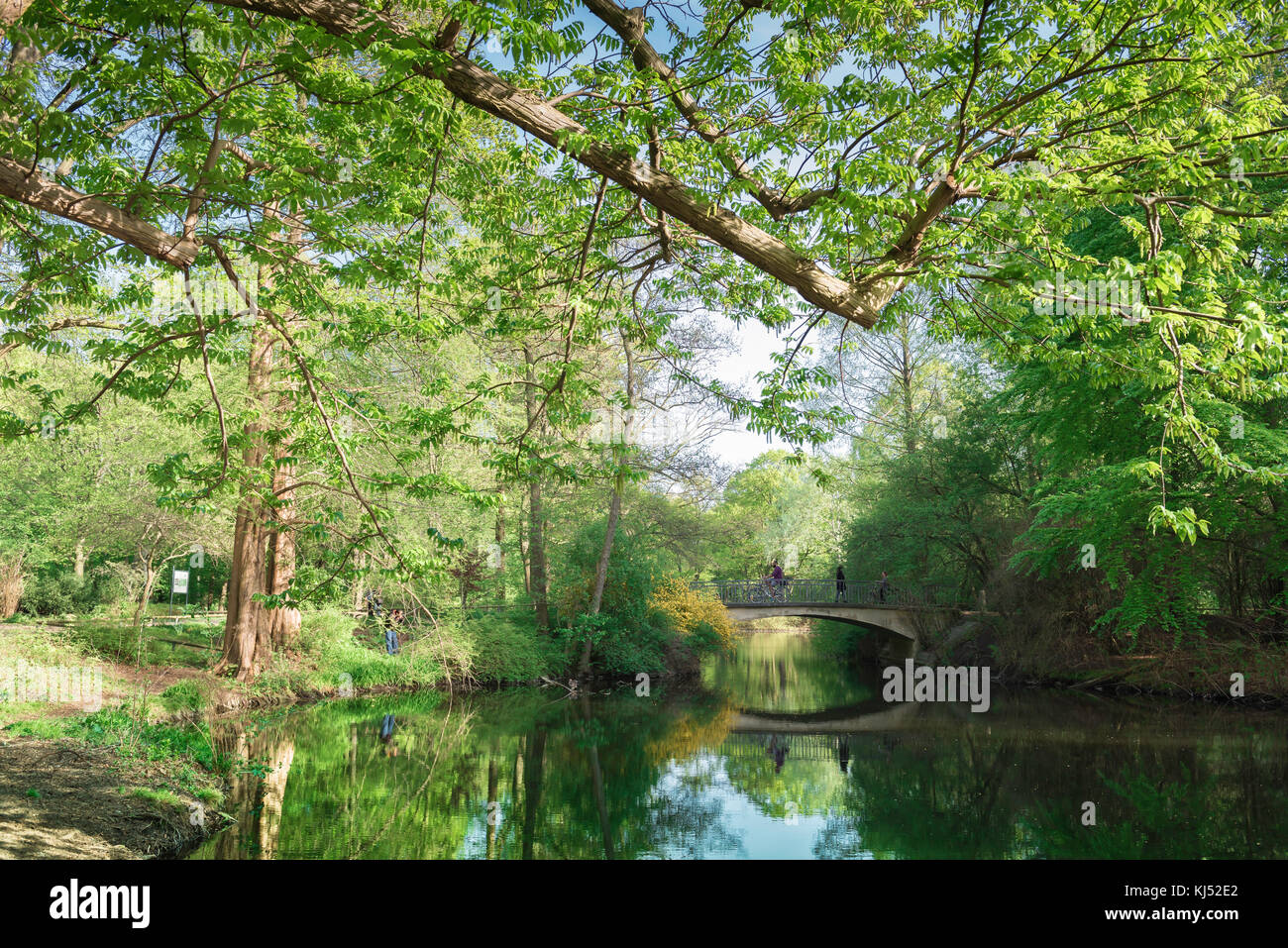 Tiergarten Berlin, view of a lake in the centre of the Tiergarten park at spring time, Berlin, Germany. Stock Photo