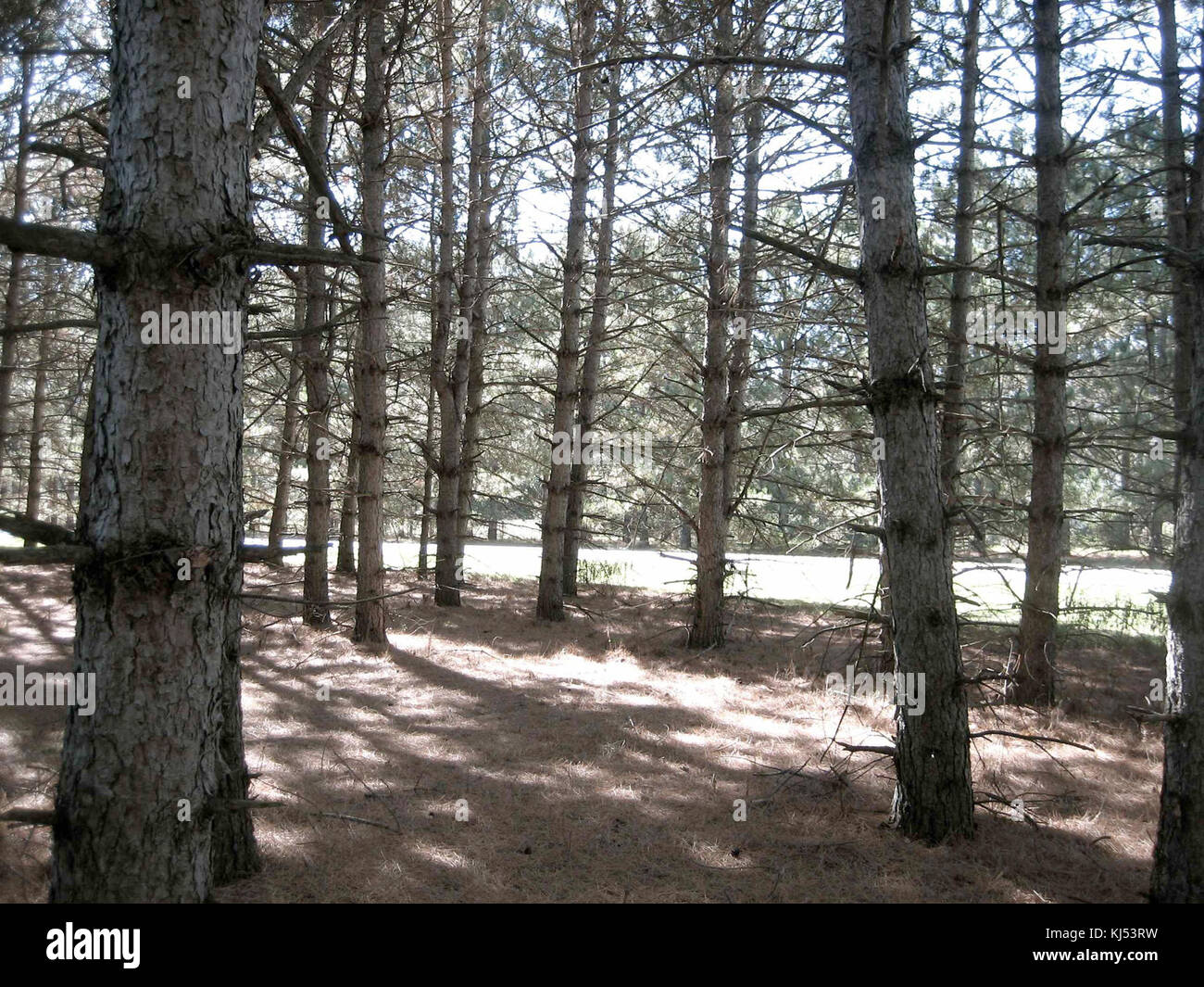 Oxbowpark Stock Photography